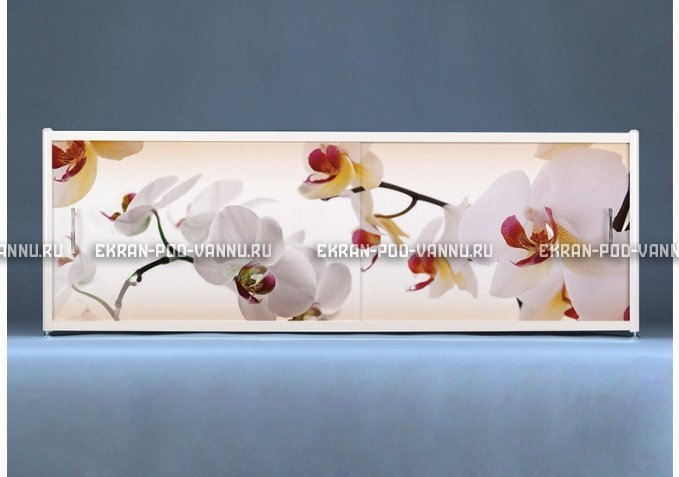 Раздвижной ФОТО экран - Orchid – купить по цене 8500 руб. в интернет-магазине в городе Ульяновск картинка 1
