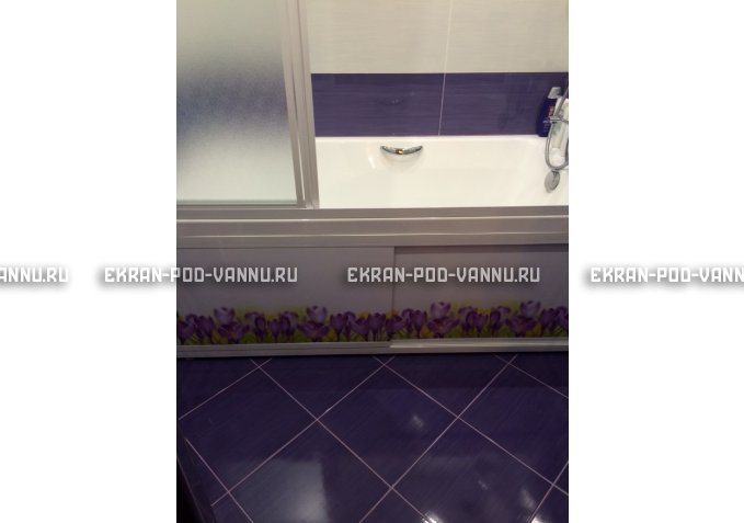 Экран на роликах EUROPLEX  Ирисы – купить по цене 12400 руб. в интернет-магазине в городе Ульяновск картинка 4